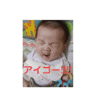 ポンタンるいたん（個別スタンプ：15）