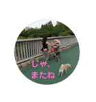 ポンタンるいたん（個別スタンプ：16）
