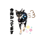 Himenoすたんぷ（個別スタンプ：9）