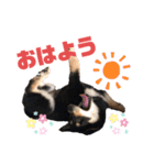 Himenoすたんぷ（個別スタンプ：10）