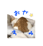 キューティピーチ（個別スタンプ：3）