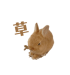うさぎのうにさん(いろんなver.)（個別スタンプ：4）