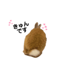 うさぎのうにさん(いろんなver.)（個別スタンプ：18）