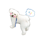 ココくんの毎日Part2（個別スタンプ：1）