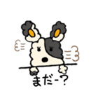 ミーコ（日常編）（個別スタンプ：24）