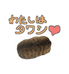猫のしょこたん（個別スタンプ：37）