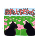 猫のしょこたん（個別スタンプ：38）