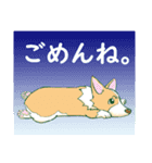 コーギー犬「こぎまろⓇ」（個別スタンプ：3）