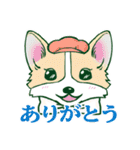 コーギー犬「こぎまろⓇ」（個別スタンプ：4）