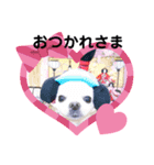 我が家のキュートくんと（個別スタンプ：3）