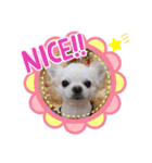 我が家のキュートくんと（個別スタンプ：8）