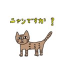 ベンガル猫のカルちゃん（個別スタンプ：1）