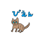 ベンガル猫のカルちゃん（個別スタンプ：3）