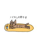 ベンガル猫のカルちゃん（個別スタンプ：5）