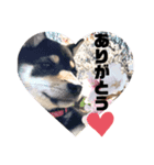 Himenoすたんぷ2（個別スタンプ：6）