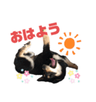 Himenoすたんぷ2（個別スタンプ：7）
