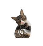 くぅちゃと、まりー（個別スタンプ：2）