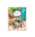 うちのお庭番野良猫2（個別スタンプ：3）