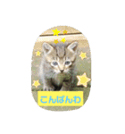 うちのお庭番野良猫2（個別スタンプ：8）