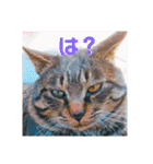 うちのお庭番野良猫2（個別スタンプ：10）