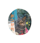 うちのお庭番野良猫2（個別スタンプ：17）