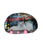うちのお庭番野良猫2（個別スタンプ：18）