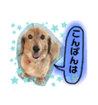 totomuta（個別スタンプ：8）