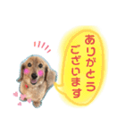 totomuta（個別スタンプ：10）