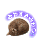 totomuta（個別スタンプ：14）