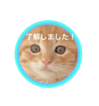 totomuta（個別スタンプ：16）