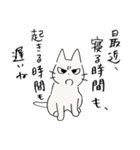 しかるねこ19（叱りづくし編）（個別スタンプ：13）