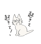 しかるねこ19（叱りづくし編）（個別スタンプ：21）