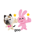 ぶるどっぐのぶるお♡4（個別スタンプ：7）