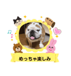ぶるどっぐのぶるお♡4（個別スタンプ：10）