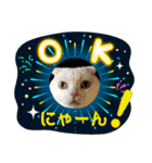 白猫のんびり夏ライフ（個別スタンプ：7）