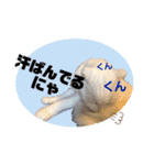 白猫のんびり夏ライフ（個別スタンプ：9）