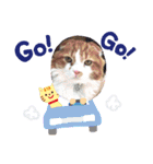 垂れ耳 ちょこ（個別スタンプ：5）