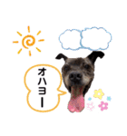 LOVEフレディ（個別スタンプ：1）