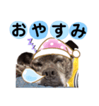 LOVEフレディ（個別スタンプ：2）