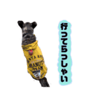 LOVEフレディ（個別スタンプ：3）