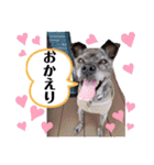 LOVEフレディ（個別スタンプ：4）