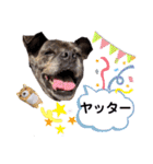 LOVEフレディ（個別スタンプ：6）