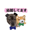 LOVEフレディ（個別スタンプ：9）