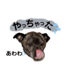 LOVEフレディ（個別スタンプ：11）