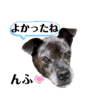 LOVEフレディ（個別スタンプ：14）