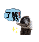 LOVEフレディ（個別スタンプ：15）