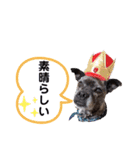 LOVEフレディ（個別スタンプ：21）
