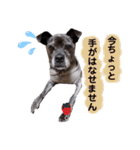 LOVEフレディ（個別スタンプ：23）