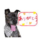 LOVEフレディ（個別スタンプ：26）
