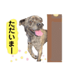 LOVEフレディ（個別スタンプ：29）